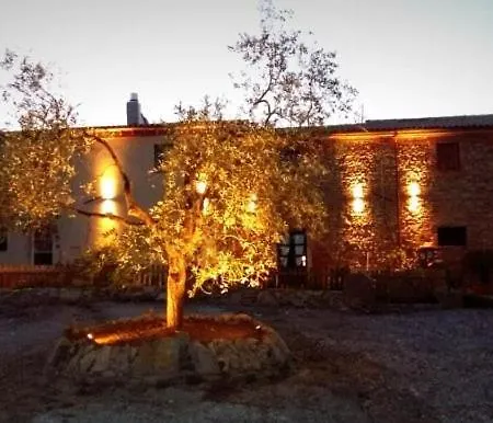 Fonte Belvedere * Collesalvetti