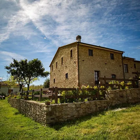 Fonte Belvedere Collesalvetti