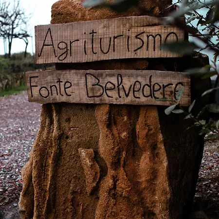 Fonte Belvedere *